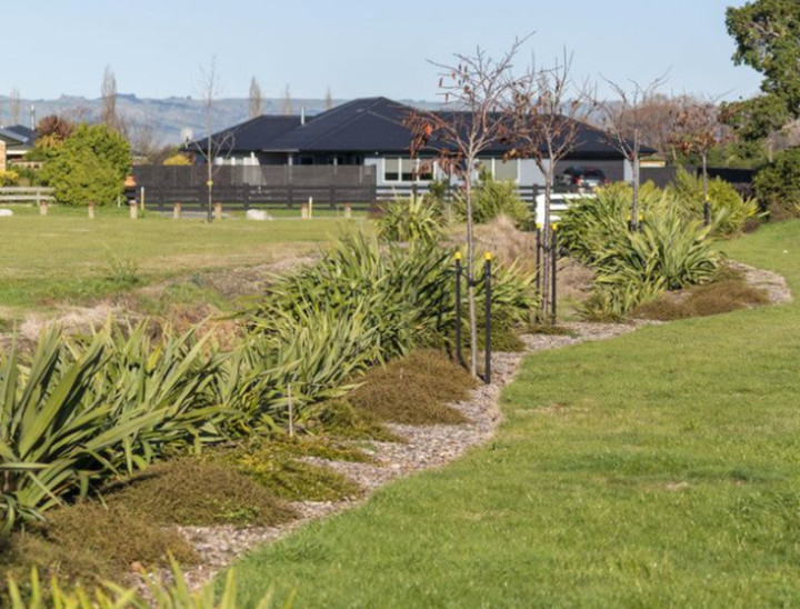 jennian placeholder 13