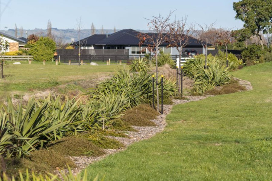 jennian placeholder 13