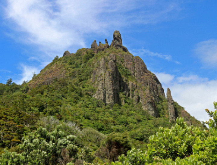 House and Land Packages in Whangarei Jennian Homes Jennian Homes