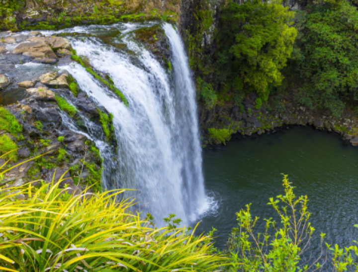 House and Land Packages in Whangarei Jennian Homes Jennian Homes